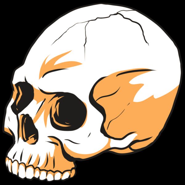 AR24 SKULL 13 RQC Thumbnail