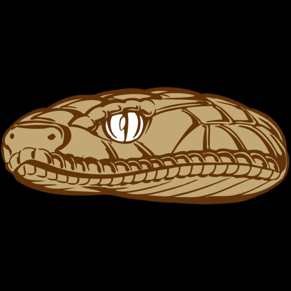 BAW SNAKE 12 RC Thumbnail