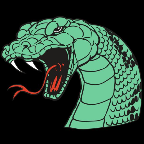 AR SNAKE 10 RC Thumbnail