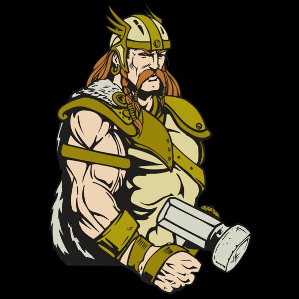 AR VIKING 38 RC Thumbnail